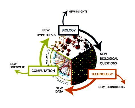 Computational Models