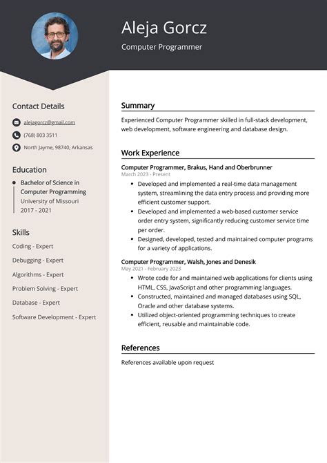 Computer Programmer Resume Template 3