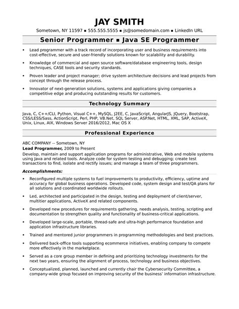 Computer Programmer Resume Template 5