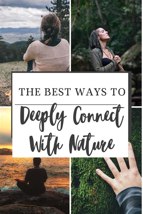 Connect with Nature Image