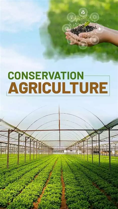 Conservation Agriculture Practices