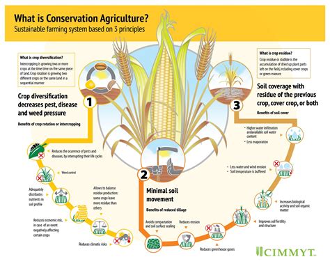 Conservation Agriculture Practices