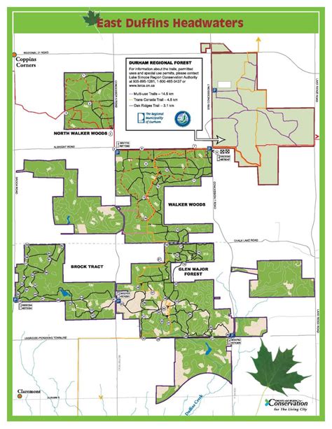 Conservation Efforts in Walker Woods