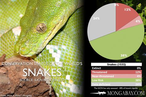 Conservation Status of Tropical Rainforest Snakes