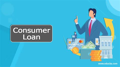 Consumer Loans and Credit Services