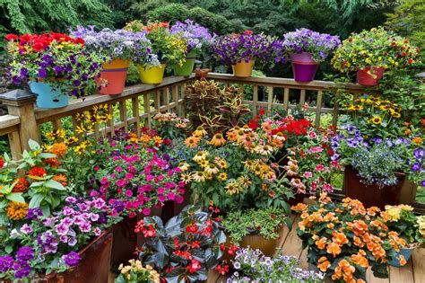 Container Gardening