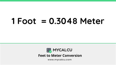 Converting Feet to Meters Practice