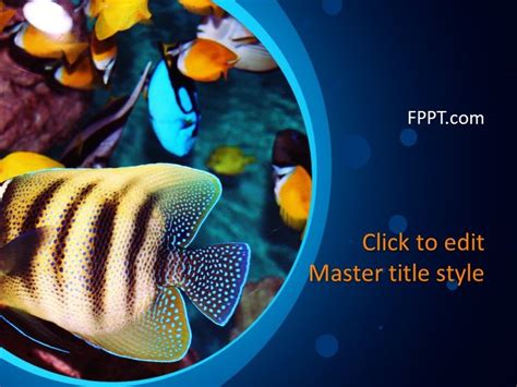 Cool Fish PowerPoint Templates