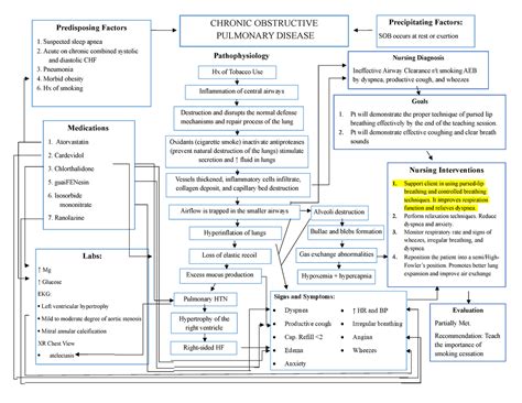 COPD Pathophysiology Concept Map