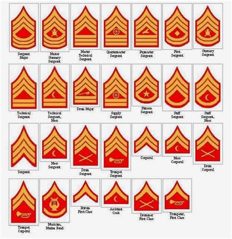 Corporal Marine Insignia Rank