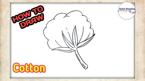 Cotton Drawing Tutorials