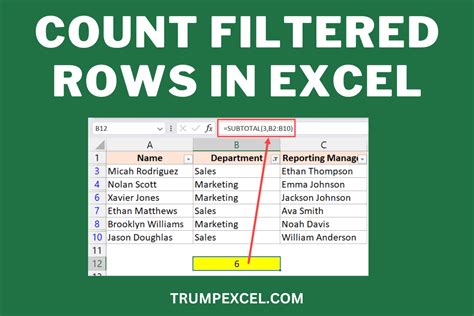 Count Rows in Excel with Filter Example