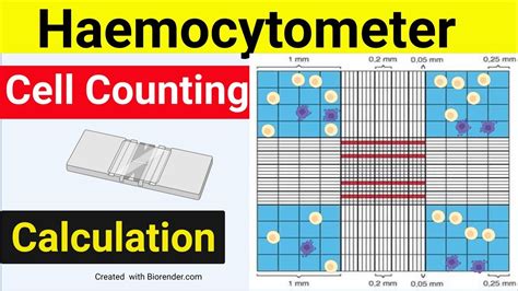 Counting Cells in a Range