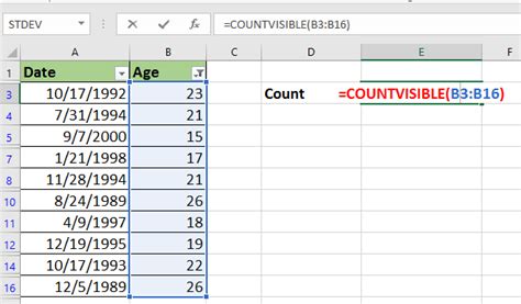 COUNTVISIBLE Formula Example