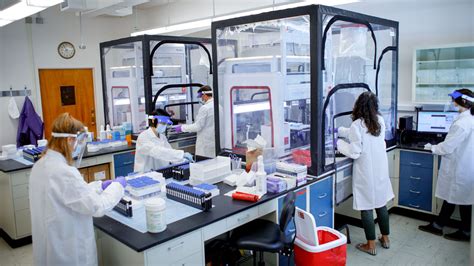 A laboratory technician analyzing COVID test samples