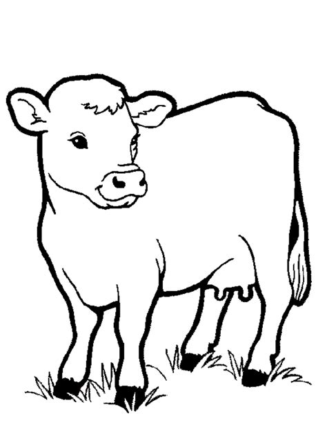 Cow Coloring Pages For Kids