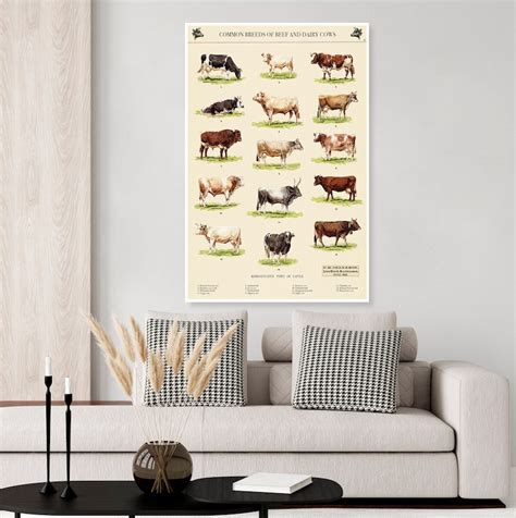 Cow Educational Posters