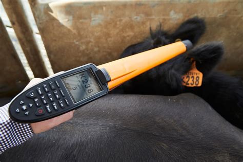 Cow Identification Tag Readers