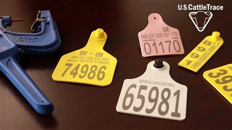 Cow Identification Tag Systems