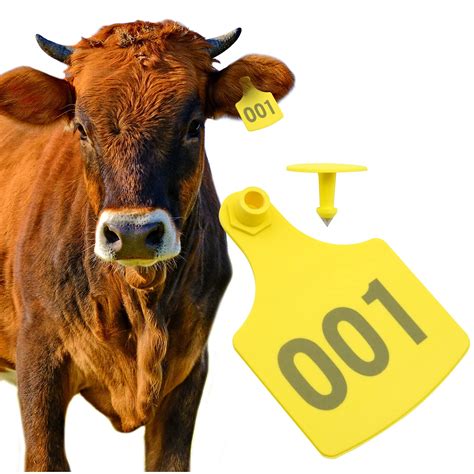 Cow Identification Tags