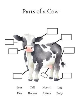 Cow Pattern Worksheet