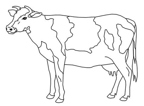 Cow Template 6