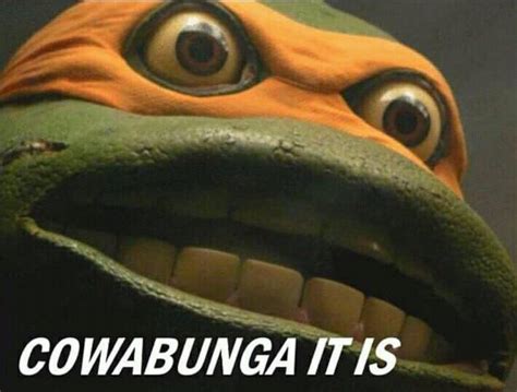 Cowabunga It Is Meme Template