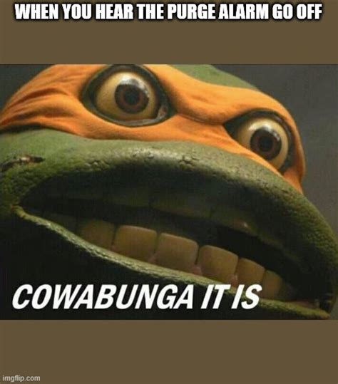 Cowabunga It Is Meme 2