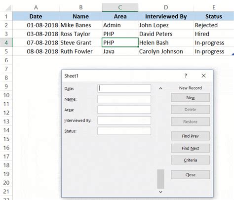 How to Create an Excel Data Entry Form Template