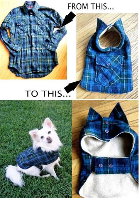 Create DIY Dog Clothes Patterns