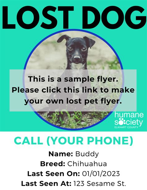 Create a Lost Pet Flyer