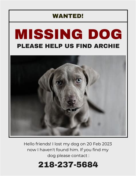 Canva offers a wide range of templates and design tools to create a missing dog flyer template