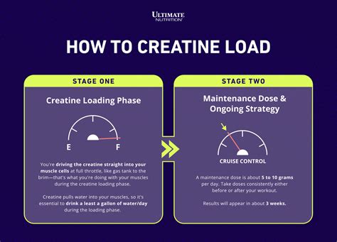 Creatine loading phase water intake guide