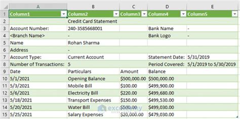 Credit Card Statement to Excel Import