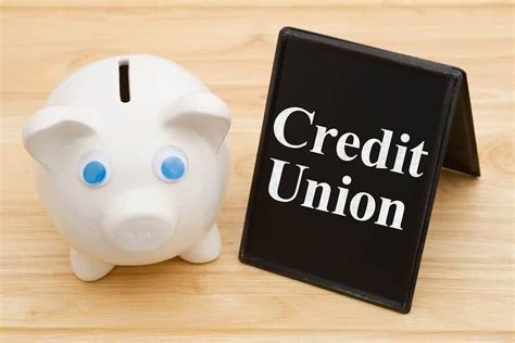 Credit union loan options