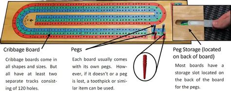 Cribbage game components