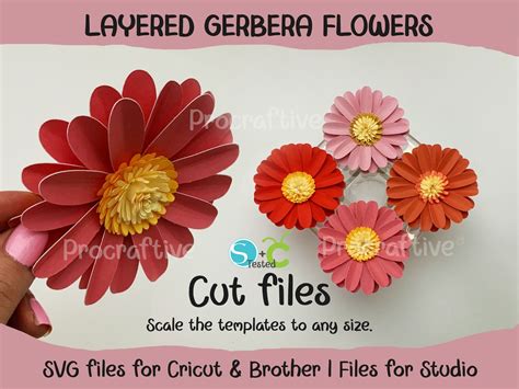 Cricut Paper Flower Gerbera Template