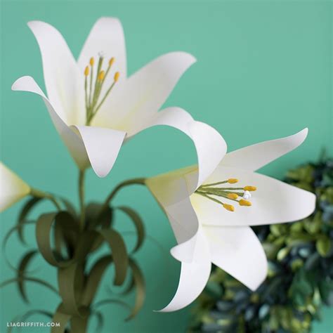 Cricut Paper Flower Lily Template