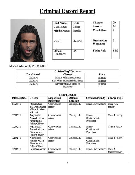 Criminal Record Template Format