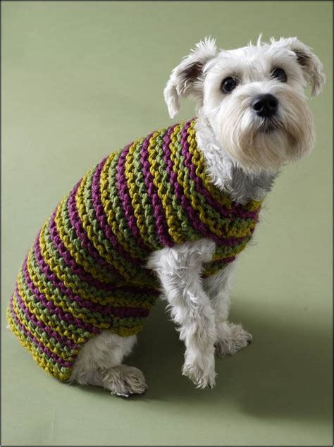 Crochet dog sweater patterns for small dogs gallery