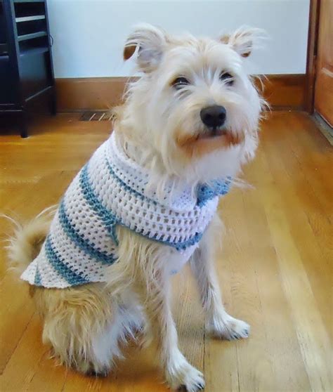 Crochet dog sweater patterns for spring gallery