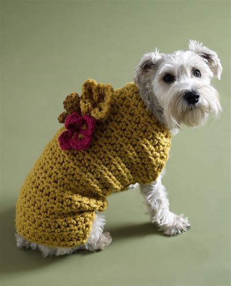 Crochet dog sweater patterns for winter