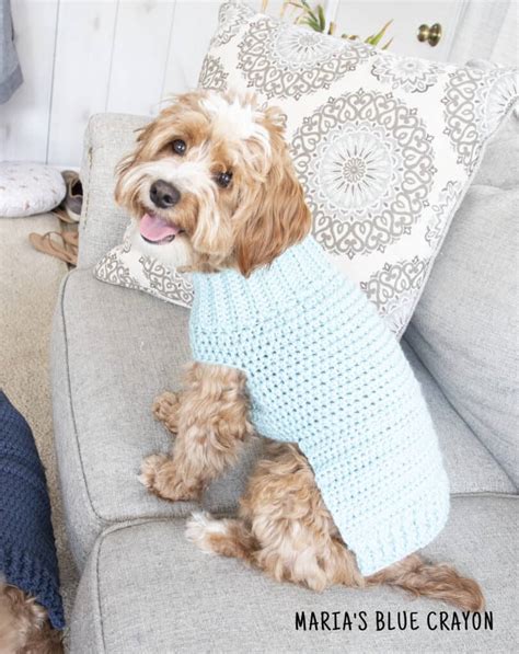 Crochet dog sweater patterns for winter gallery