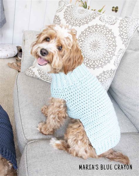 Crochet dog sweater patterns with hood gallery