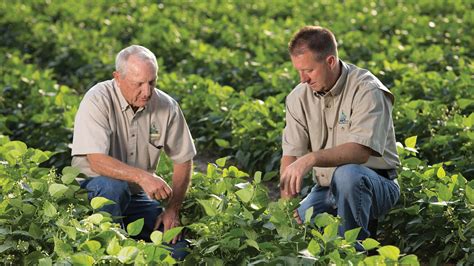 Crop Consultant