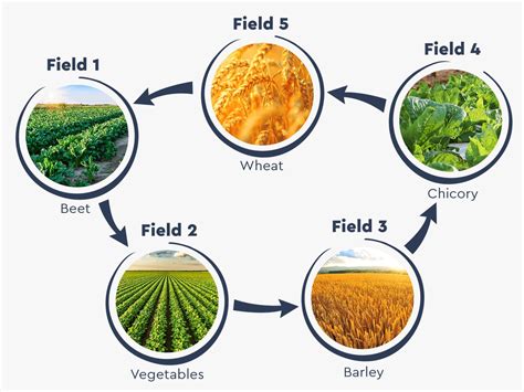 Benefits of Crop Rotation