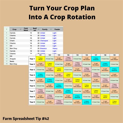 Crop Rotation Chart Template