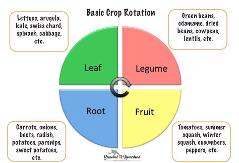 Crop Rotation Diagram