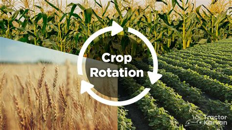 Crop Rotation Farming