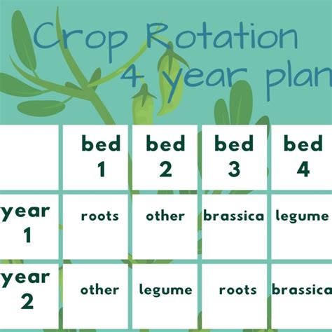 Crop Rotation Schedule Template